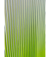 ESSENTIEL ANTWERP HAURUS GREEN LONG DRESS