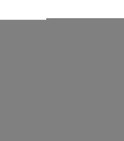 ASH ANGIE ZWARTE MULE MET HAK