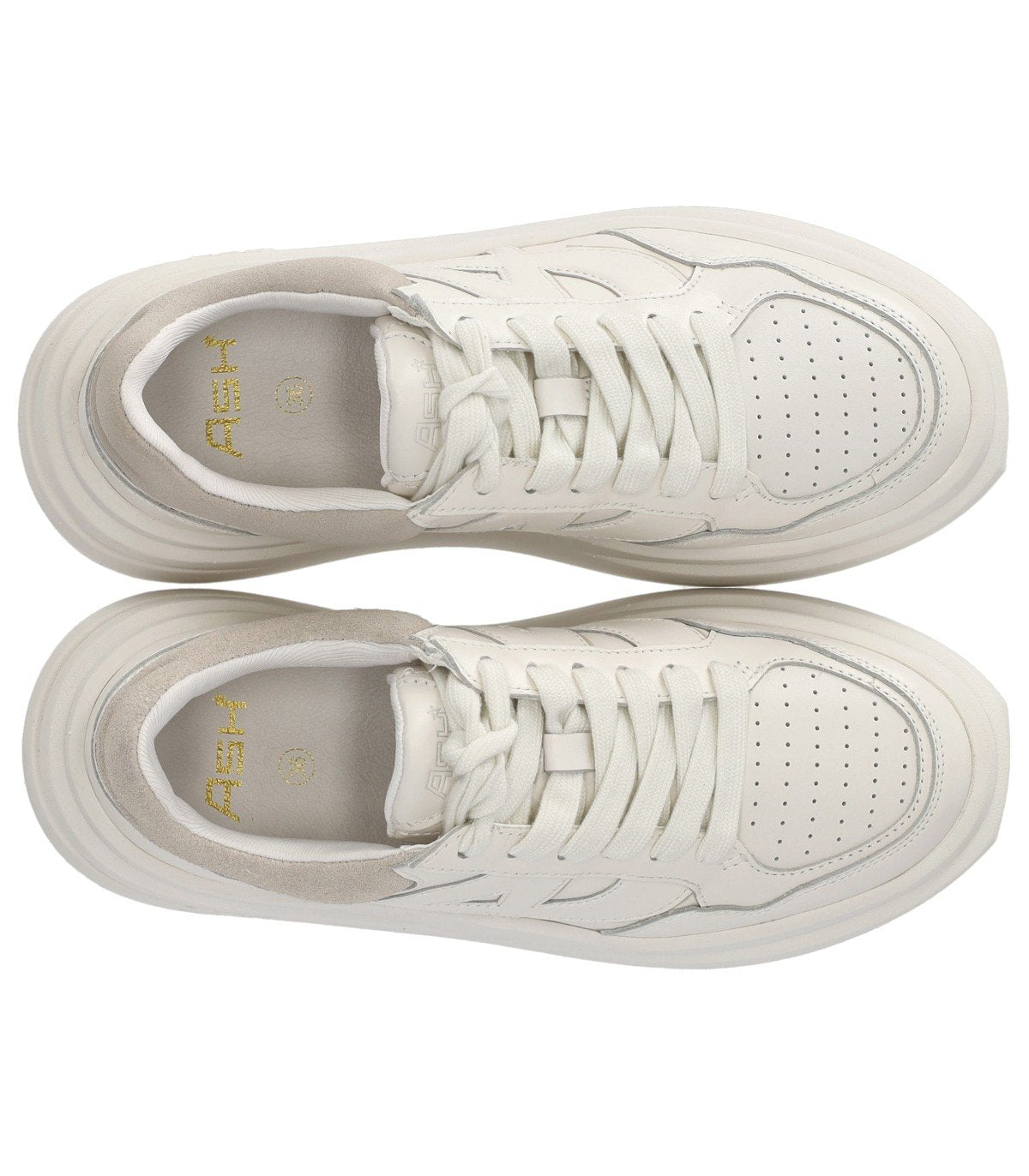 SNEAKER ICONE BIANCA TALCO ASH