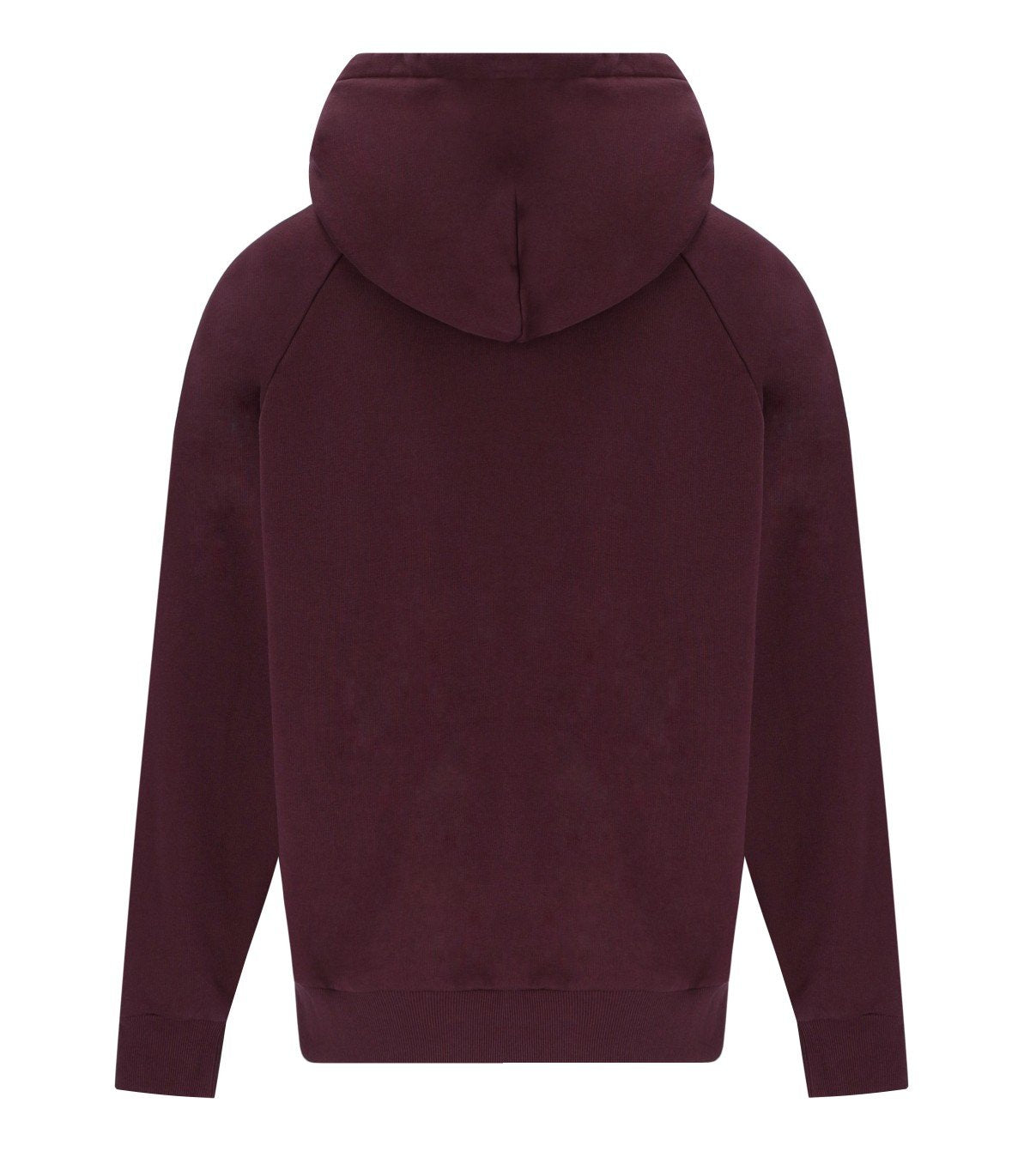 CARHARTT WIP RAY RONDO HOODIE