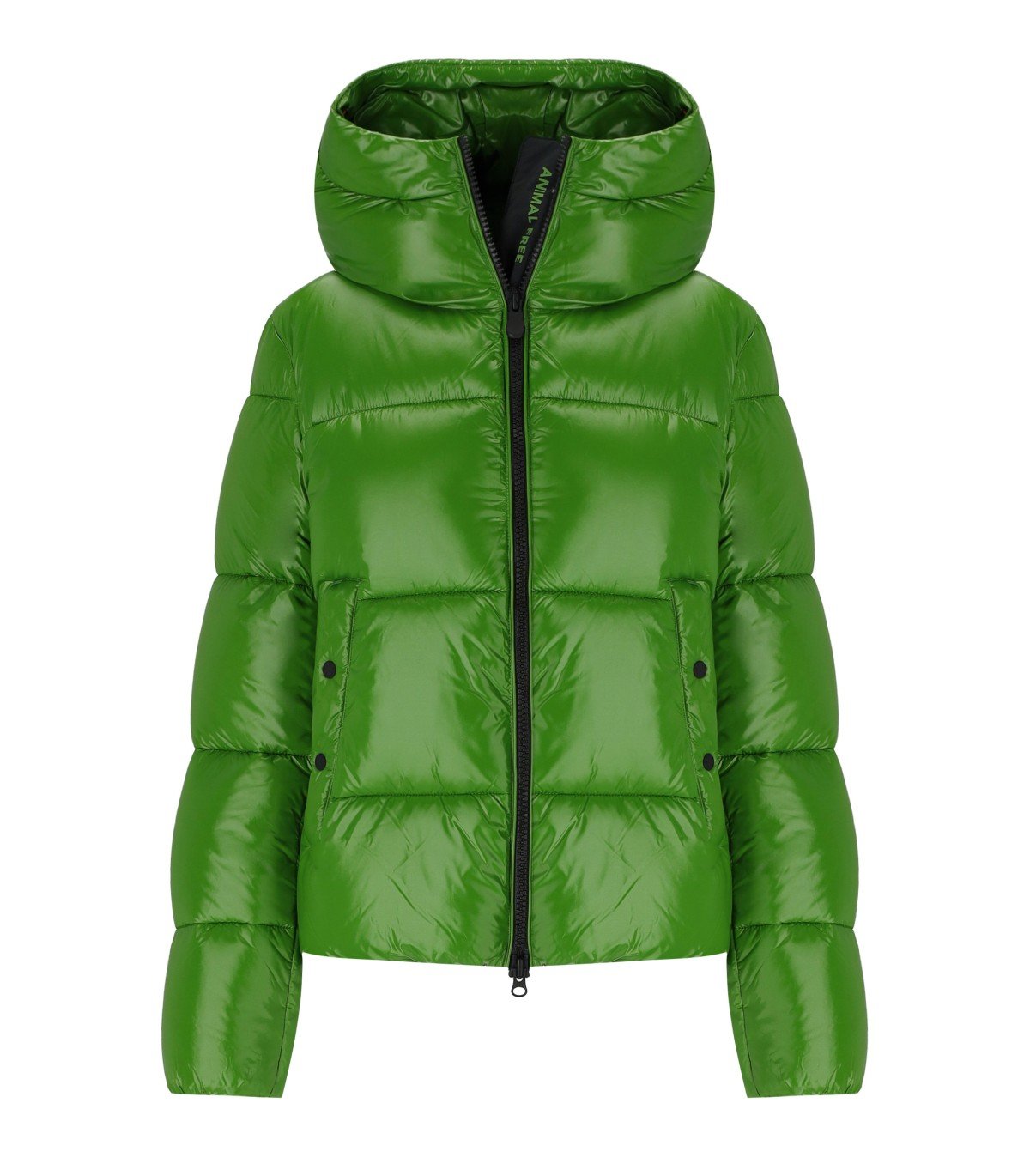 SAVE THE DUCK BIDDY GREEN HODDED PADDED JACKET