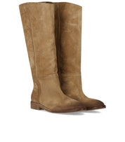 STIVALE AVENA STRATEGIA