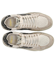 ASH MOONLIGHT STUDS BEIGE SNEAKER