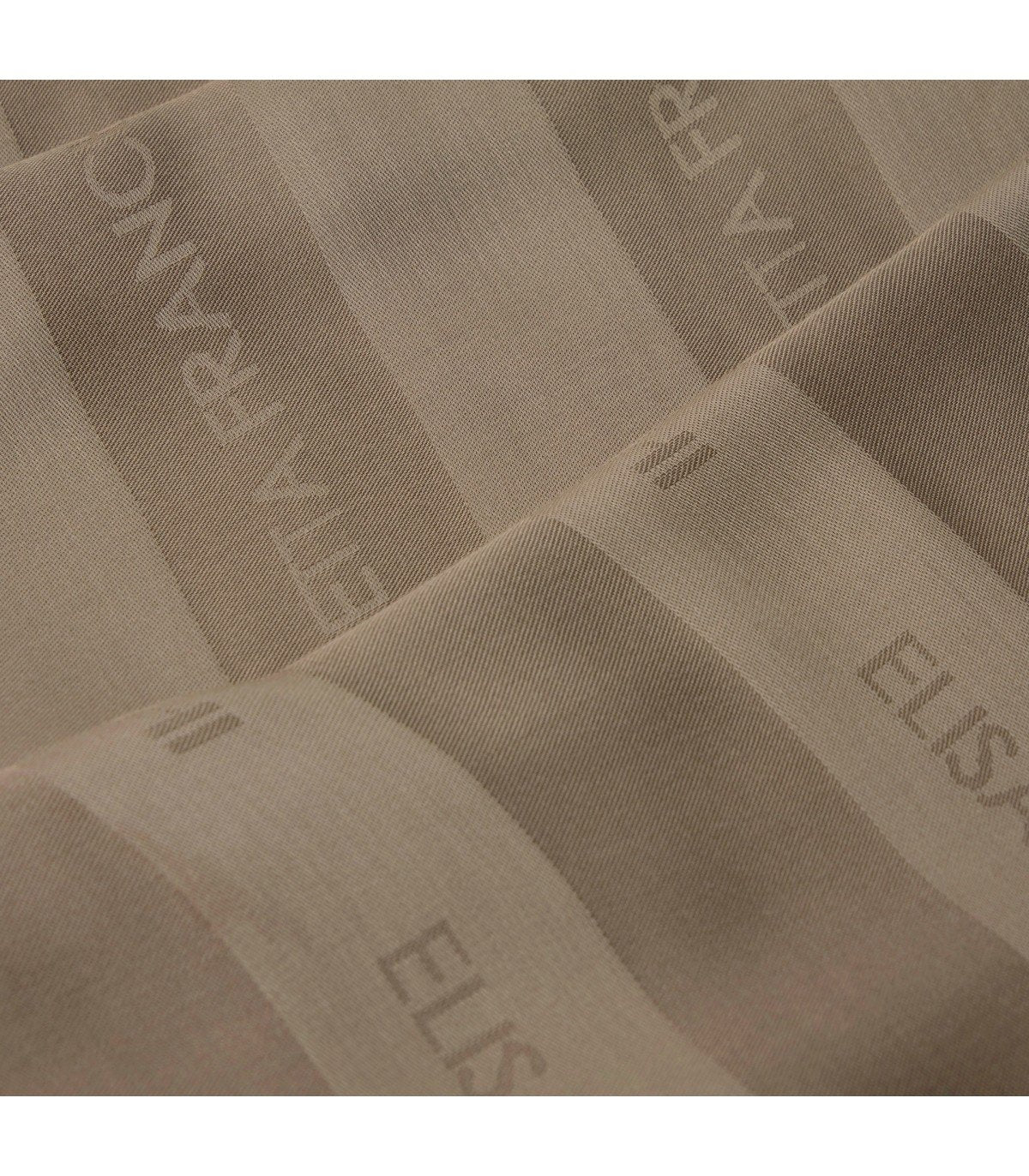 ELISABETTA FRANCHI BEIGE SCARF