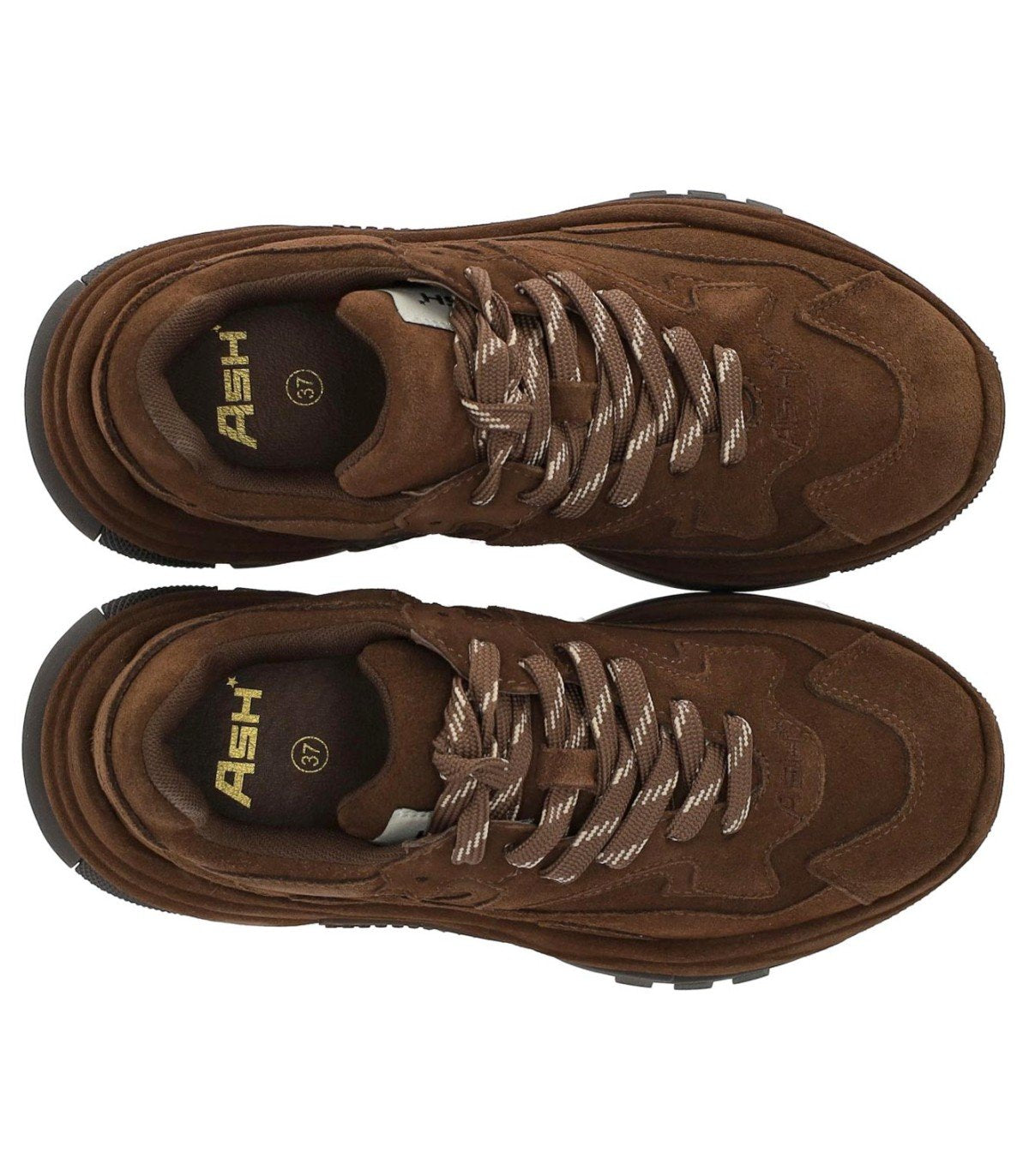 SNEAKER ADDICT MARRONE ASH