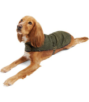 BARBOUR DOG BONE OLIVGRÜNER MANTEL