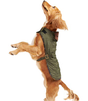 BARBOUR DOG BONE OLIVGRÜNER MANTEL