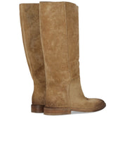 STIVALE AVENA STRATEGIA