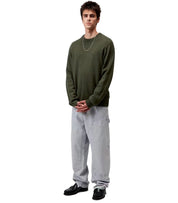 CARHARTT WIP ALTEN OPUNTIA RUNDHALSPULLOVER