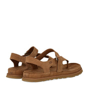 UGG GOLDENGAZE TOE POST CHESTNUT SANDAL