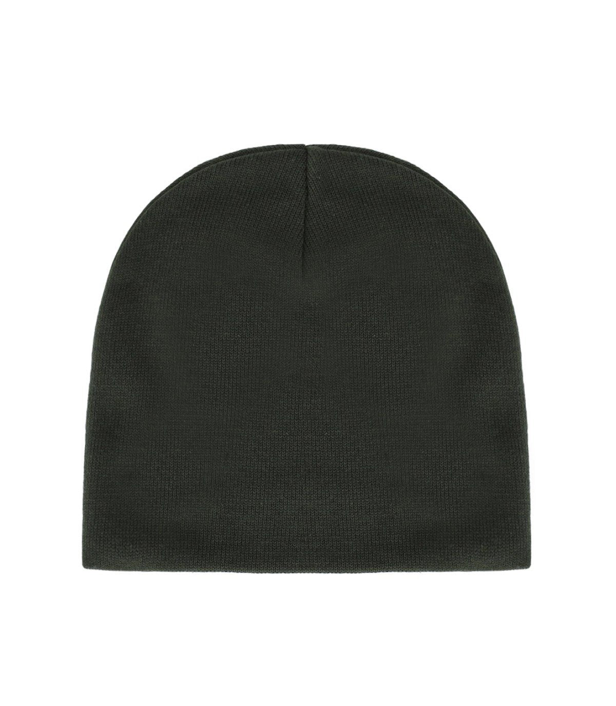 CARHARTT WIP SCRIPTER OPUNTIA BEANIE