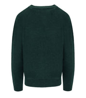 PULLOVER NITRA GRÜN MAX MARA WEEKEND